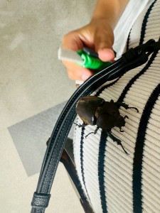 line_oa_chat_250909_225423