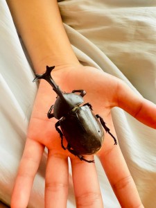 line_oa_chat_250909_225430