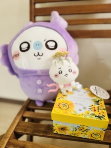 line_oa_chat_250911_165440