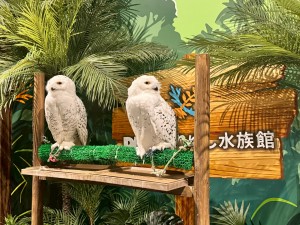 line_oa_chat_251014_120347