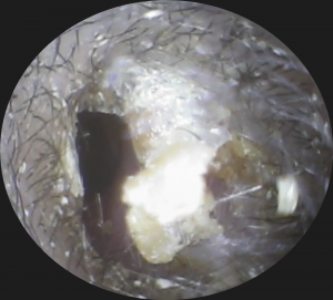 スクリーンショット 2026-01-13 174517