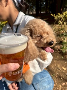 line_oa_chat_260318_175817